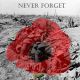 Never Forget